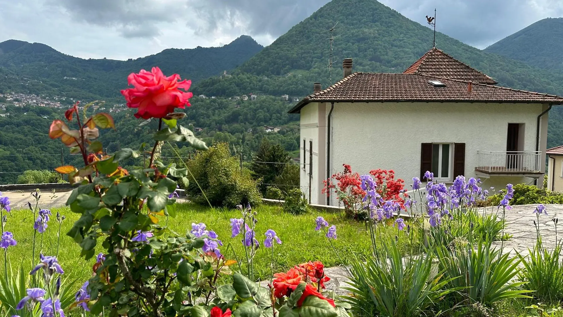 شقة Villa Oleandra With Garden&Swimming Pool Dizzasco